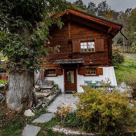 Chalet Les Rindes Nendaz Zewnętrze zdjęcie