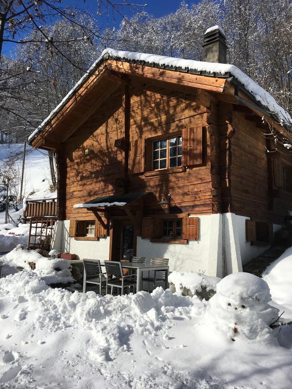 Chalet Les Rindes Nendaz Zewnętrze zdjęcie
